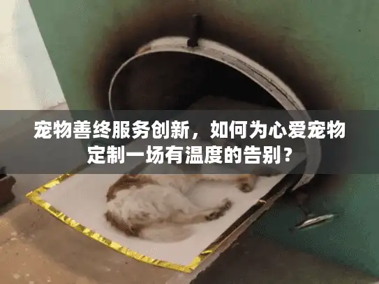 宠物善终服务创新，如何为心爱宠物定制一场有温度的告别？