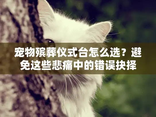 宠物殡葬仪式台怎么选？避免这些悲痛中的错误抉择