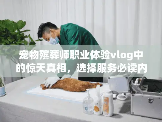 宠物殡葬师职业体验vlog中的惊天真相，选择服务必读内幕