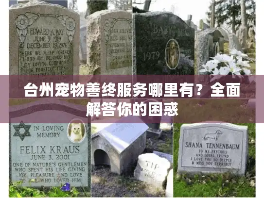 台州宠物善终服务哪里有？全面解答你的困惑