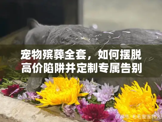 宠物殡葬全套，如何摆脱高价陷阱并定制专属告别？