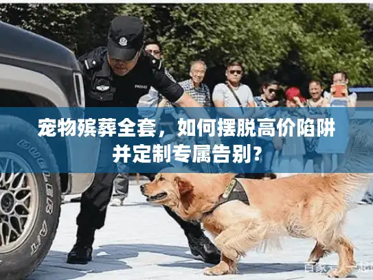 宠物殡葬全套，如何摆脱高价陷阱并定制专属告别？
