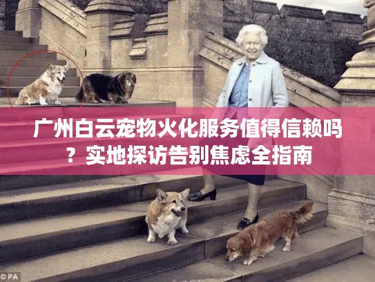广州白云宠物火化服务值得信赖吗？实地探访告别焦虑全指南