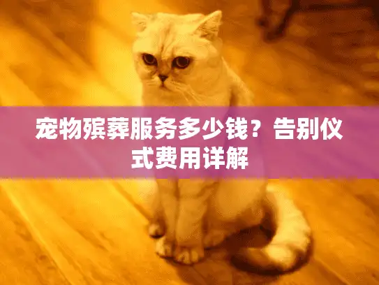 宠物殡葬服务多少钱？告别仪式费用详解