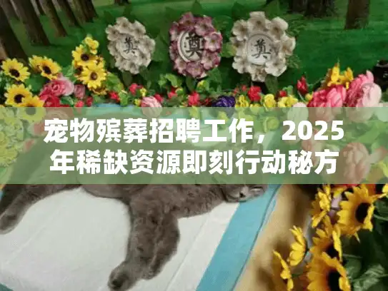 宠物殡葬招聘工作，2025年稀缺资源即刻行动秘方