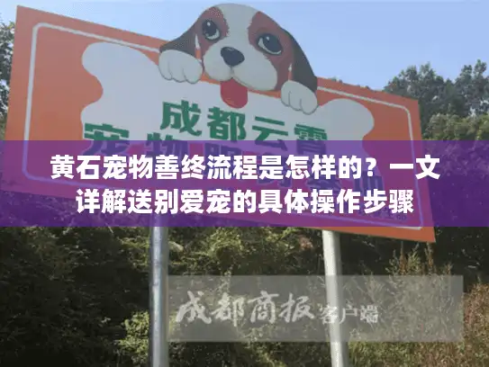 黄石宠物善终流程是怎样的？一文详解送别爱宠的具体操作步骤