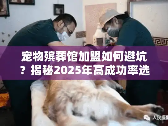 宠物殡葬馆加盟如何避坑？揭秘2025年高成功率选择秘籍