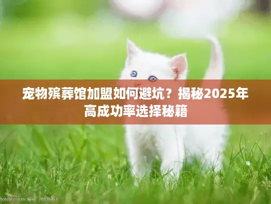 宠物殡葬馆加盟如何避坑？揭秘2025年高成功率选择秘籍