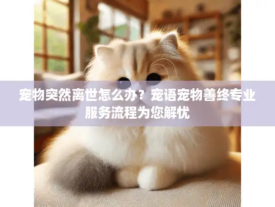 宠物突然离世怎么办？宠语宠物善终专业服务流程为您解忧