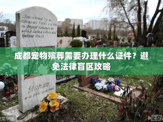成都宠物殡葬需要办理什么证件？避免法律盲区攻略