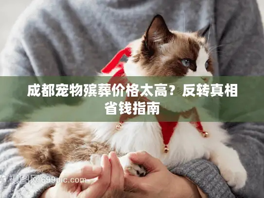 成都宠物殡葬价格太高？反转真相省钱指南