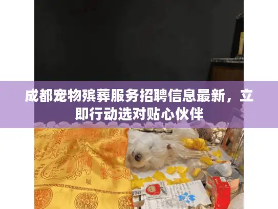 成都宠物殡葬服务招聘信息最新，立即行动选对贴心伙伴