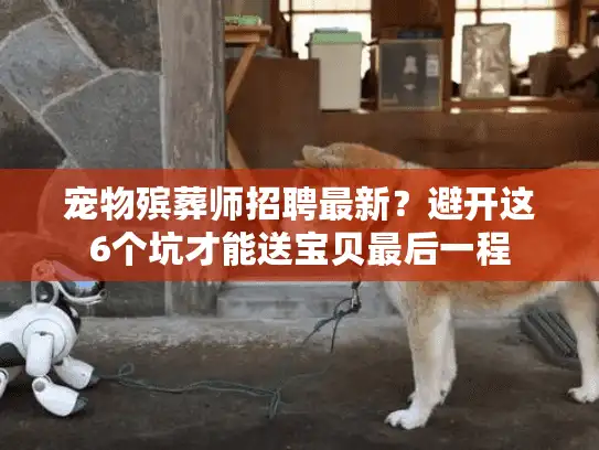 宠物殡葬师招聘最新？避开这6个坑才能送宝贝最后一程