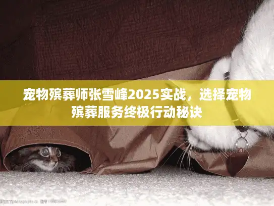 宠物殡葬师张雪峰2025实战，选择宠物殡葬服务终极行动秘诀