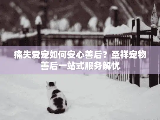 痛失爱宠如何安心善后？圣祥宠物善后一站式服务解忧