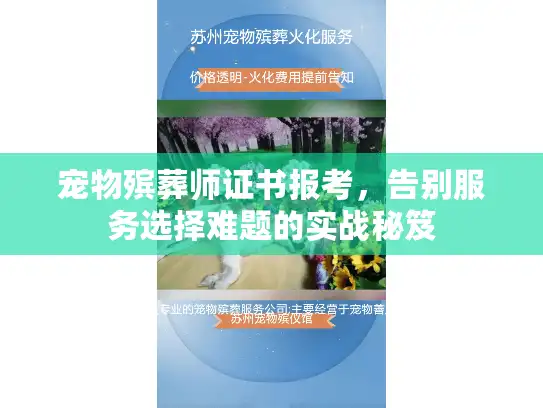 宠物殡葬师证书报考，告别服务选择难题的实战秘笈