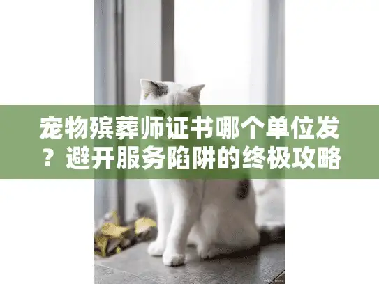 宠物殡葬师证书哪个单位发？避开服务陷阱的终极攻略