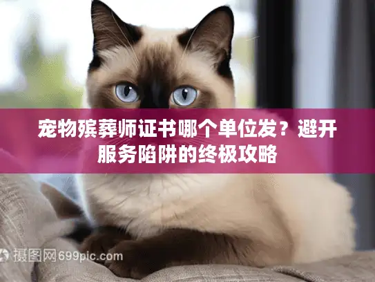 宠物殡葬师证书哪个单位发？避开服务陷阱的终极攻略