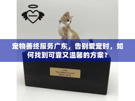宠物善终服务广东，告别爱宠时，如何找到可靠又温馨的方案？