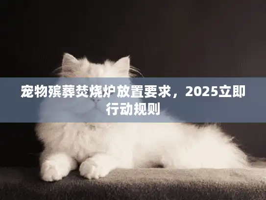 宠物殡葬焚烧炉放置要求，2025立即行动规则