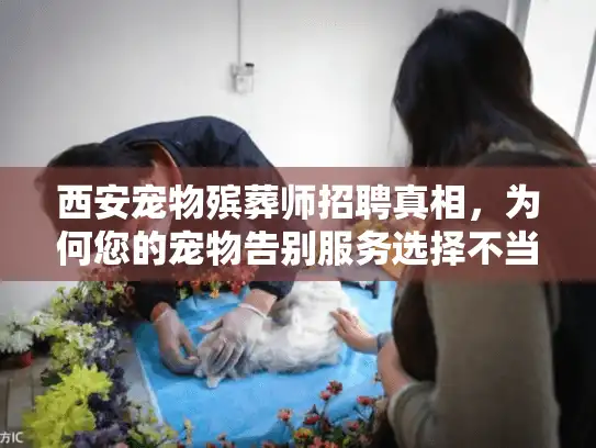 西安宠物殡葬师招聘真相，为何您的宠物告别服务选择不当易踩坑