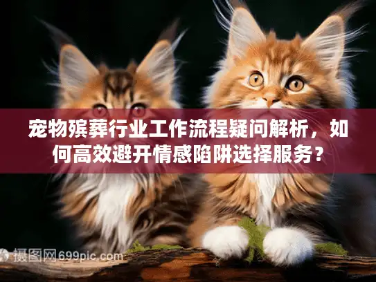 宠物殡葬行业工作流程疑问解析，如何高效避开情感陷阱选择服务？