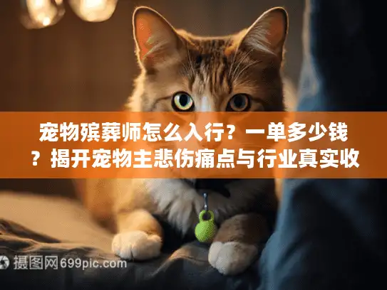 宠物殡葬师怎么入行？一单多少钱？揭开宠物主悲伤痛点与行业真实收入秘密