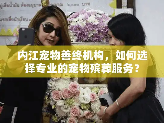 内江宠物善终机构，如何选择专业的宠物殡葬服务？