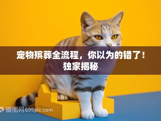 宠物殡葬全流程，你以为的错了！独家揭秘