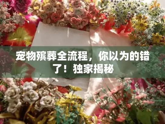宠物殡葬全流程，你以为的错了！独家揭秘