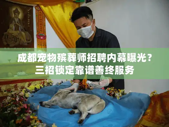 成都宠物殡葬师招聘内幕曝光？三招锁定靠谱善终服务