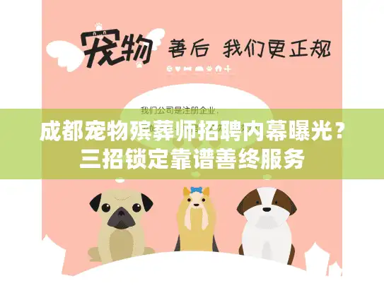 成都宠物殡葬师招聘内幕曝光？三招锁定靠谱善终服务