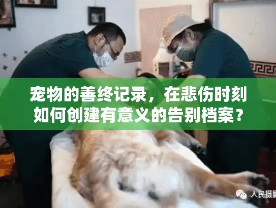 宠物的善终记录，在悲伤时刻如何创建有意义的告别档案？