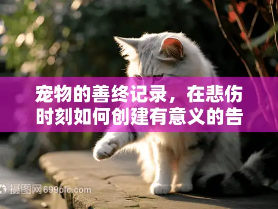 宠物的善终记录，在悲伤时刻如何创建有意义的告别档案？