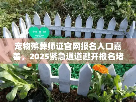 宠物殡葬师证官网报名入口嘉善，2025紧急通道避开报名堵塞