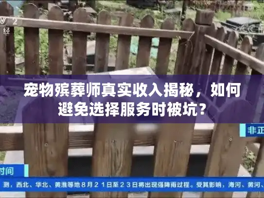 宠物殡葬师真实收入揭秘，如何避免选择服务时被坑？