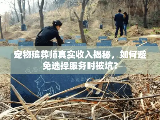 宠物殡葬师真实收入揭秘，如何避免选择服务时被坑？