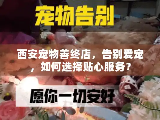 西安宠物善终店，告别爱宠，如何选择贴心服务？