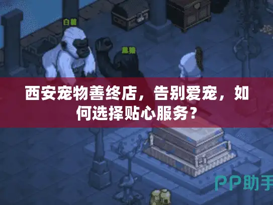 西安宠物善终店，告别爱宠，如何选择贴心服务？