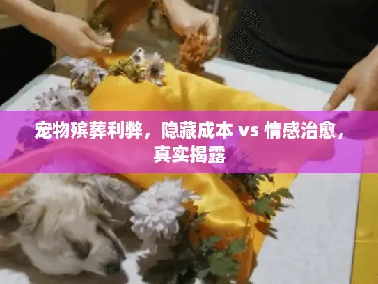 宠物殡葬利弊，隐藏成本 vs 情感治愈，真实揭露