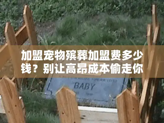 加盟宠物殡葬加盟费多少钱？别让高昂成本偷走你的宠物告别尊严与创业机会！
