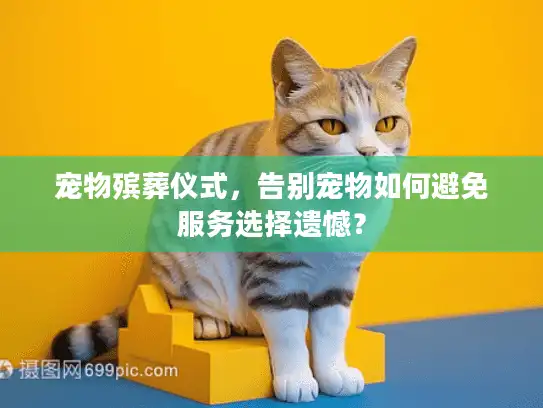 宠物殡葬仪式，告别宠物如何避免服务选择遗憾？
