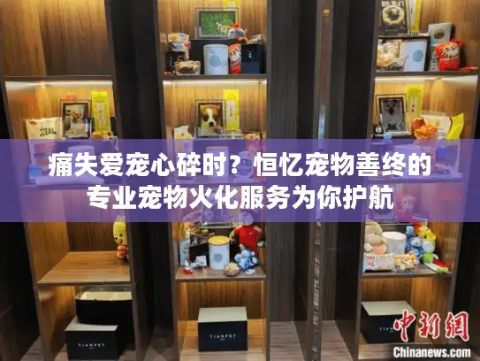 痛失爱宠心碎时？恒忆宠物善终的专业宠物火化服务为你护航