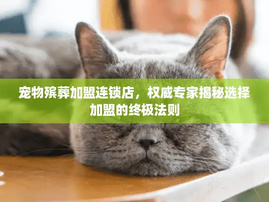 宠物殡葬加盟连锁店，权威专家揭秘选择加盟的终极法则
