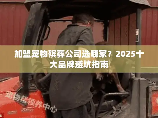 加盟宠物殡葬公司选哪家？2025十大品牌避坑指南
