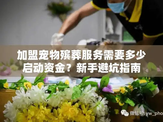 加盟宠物殡葬服务需要多少启动资金？新手避坑指南