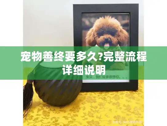 宠物善终要多久?完整流程详细说明