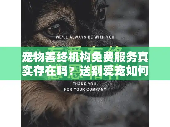 宠物善终机构免费服务真实存在吗？送别爱宠如何避免隐形消费