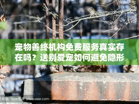 宠物善终机构免费服务真实存在吗？送别爱宠如何避免隐形消费