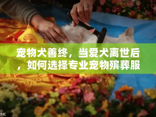 宠物犬善终，当爱犬离世后，如何选择专业宠物殡葬服务？